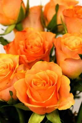 Ramo Flores Irlanda, Entregas de Flores a Domicilio, Flores para Regalar, Floristería Online, Arreglos Florales, Envíos Florales Urgentes