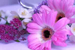 Ramo Flores Viena, Floristerías en Altea, Ramo Blanco para Regalar, Flores en Altea, Arreglos Florales, Comprar Flores Online